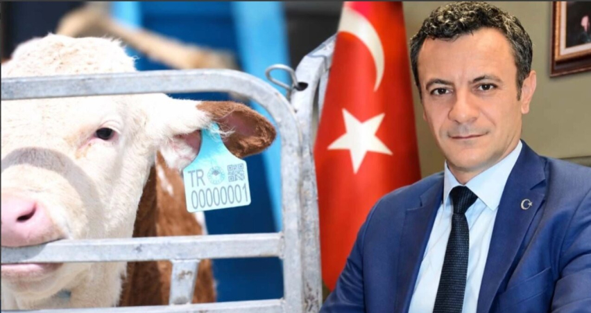 Hayvancılıkta Elektronik Küpe Dönemi Başladı Ama Asıl Mesele Şimdi Başlıyor! 